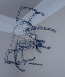 Joe the Cat-Faced Spider - Sarah Farr - age 22