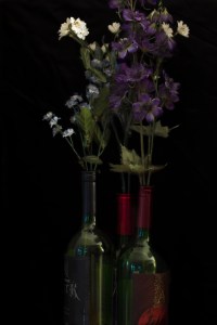 Apothic Wine | Farr Out Fine Art