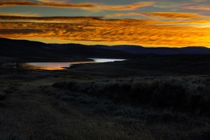 Strawberry Sunset, Sarah Farr Out Fine Art