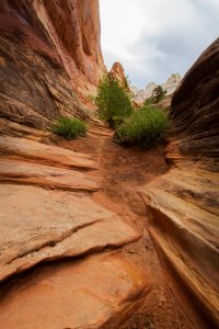 Waterpocket, Sarah Farr Out Fine Art Photography